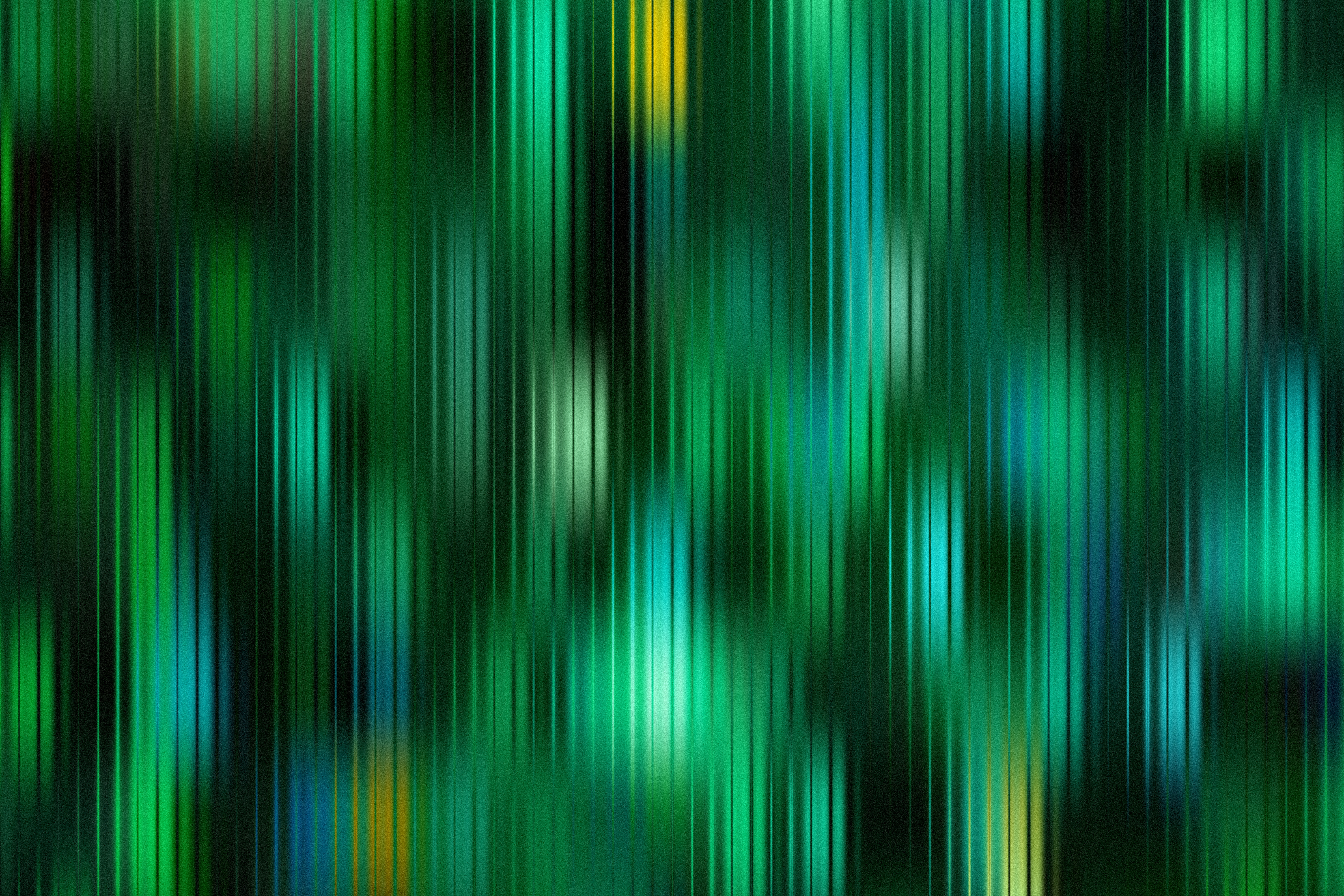 User Testing Session